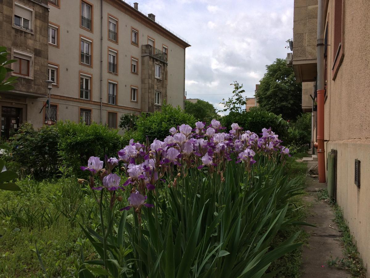 Írisz Apartman Budapest Exterior foto